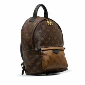 LV Palm Springs Backpack PM Monogram Reverse