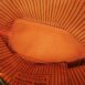rn-image_picker_lib_temp_2e795d60-18f0-4151-97b5-8a6d1669df63