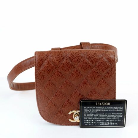 1130112007ChanelBrownCaviarWaistBag_5_950_9