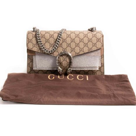 2-gucci-brown-dionysus-FRONT-WITH-COVER