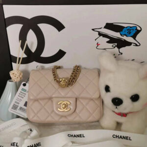 Chanel Bags