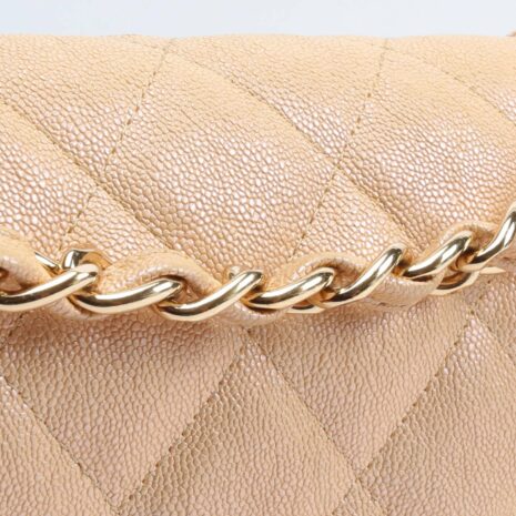 Chanel_4210-12