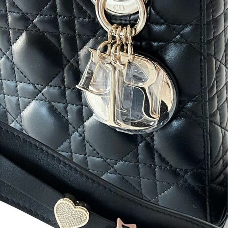 Ladydior_11
