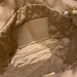 Photo18-11-23_24048PM-min