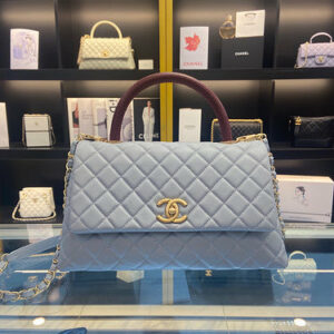 Chanel Bags