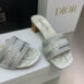 dior-womens-shoes-dway-heeled-sl_3