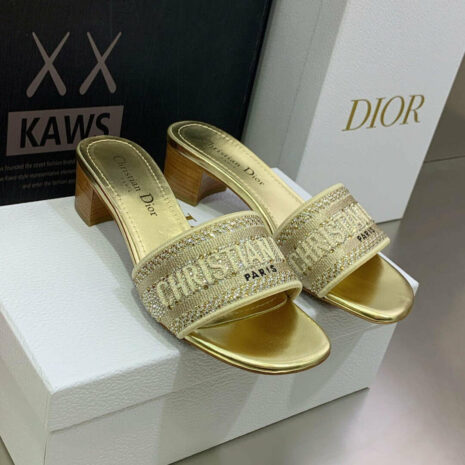 dior-womens-shoes-dway-heeled-sl_76