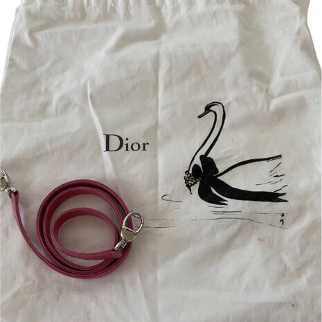 diormediumladydiortricolor_15