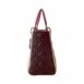 diormediumladydiortricolor_4
