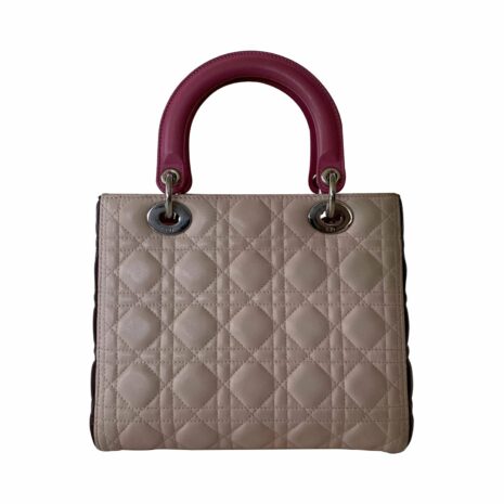 diormediumladydiortricolor_5