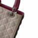 diormediumladydiortricolor_6