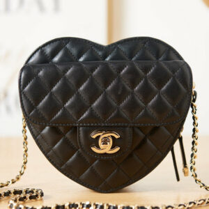 Chanel Bags