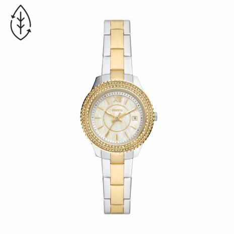 fossil-es5138_1