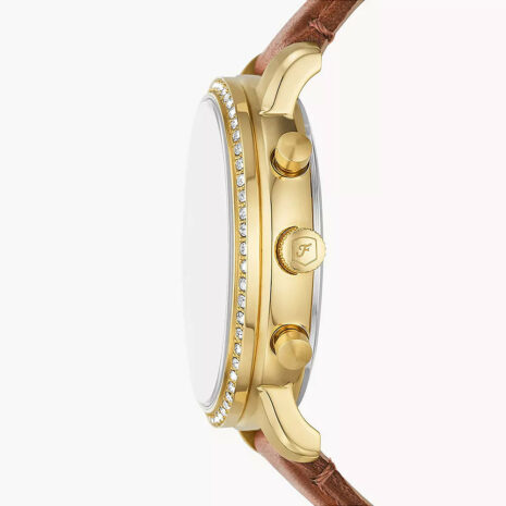 fossil-es5278_2_710c22a0-a471-46ce-be9d-c25c8330a6c5