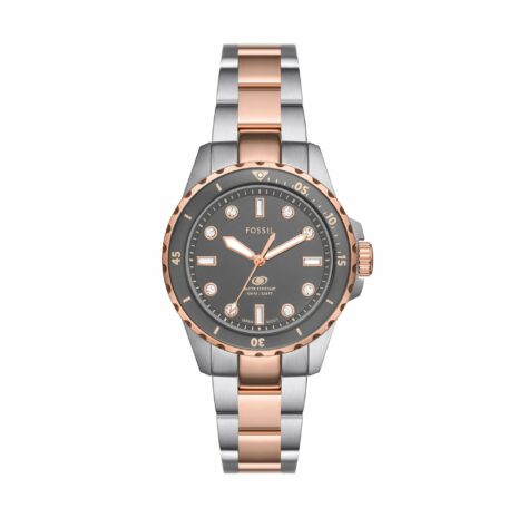 fossil-es5348_1