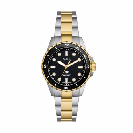 fossil-es5349_1