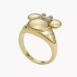 fossil-jfc04706710_3