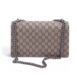 gucci-dionysus-medium-red02