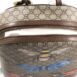 gucci-supreme-insect-backpack-12