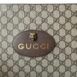 guccipouchtiger_6