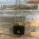 image_ac330382-cde3-4ad2-97b8-bb78af9f5c06