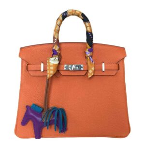 Hermes Birkin 25 Feu Clemence Bag