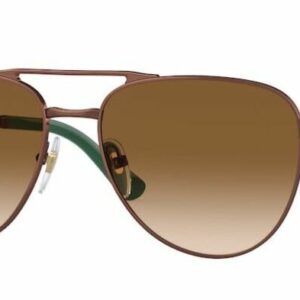 Persol 0PO1003S 112451 Shiny Brown/Brown Gradient Unisex Sunglasses