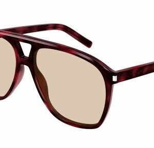 Saint Laurent SL 596 Dune 003 Havana/Brown Browline Women's Sunglasses