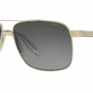 Versace 0VE 2174 1252T3 PALE GOLD Polarized Sunglasses