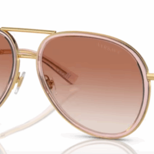 Versace VE 2260 100213 Brown/ Pink Gradient Oval Men's Sunglasses