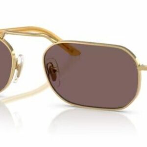 Persol 0PO1020S 112953 Gold /Violet Oval Shape Unisex Sunglasses