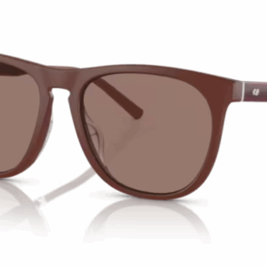 Oliver Peoples 0OV5554SU R-1 700253 Semi-Matte Brick/Sierra Men's Sunglasses
