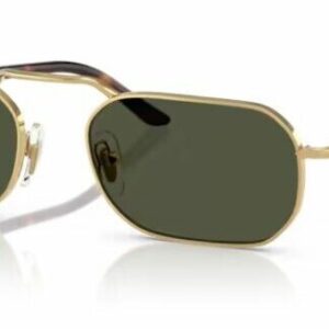 Persol 0PO1020S 515/31 Gold-Havana/Green Oval Shape Unisex Sunglasses