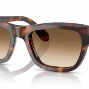 Persol 0PO0091S 24/51 Havana/BrownGradient Square 56mm Men's Sunglasses