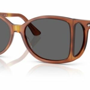 Persol 0PO0005 96/B1 Terra di siena/Dark Grey Round Shaped Men's Sunglasses