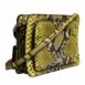 Dolce & Gabbana Snakeskin Crossbody Bag Women Green