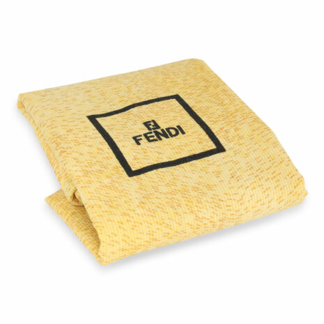 BO3612-FENDI-BAGUETTE-_999_0920