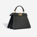 BO4124-FENDI-ISEEUPEEKABOO_8841