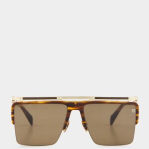 Brown Triomphe Sunglasses