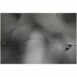 ContactSheet-1copy_961e6e1a-c266-4386-9860-d400fd5d5bfb