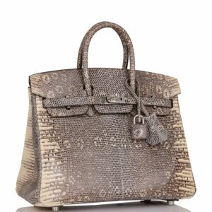 Hermes Birkin 25 Ombre Shiny Salvator Lizard Palladium Hardware