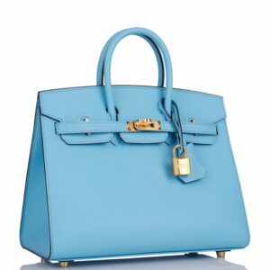 Hermes Birkin 25 Sellier Celeste Epsom Gold Hardware