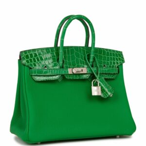 Hermes Birkin 25 Bambou Shiny Crocodile and Togo Touch Palladium Hardware