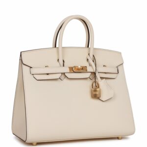Hermes Birkin 25 Sellier Nata Epsom Gold Hardware
