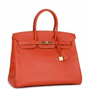 Hermes Birkin 35 Mangue Epsom Gold Hardware