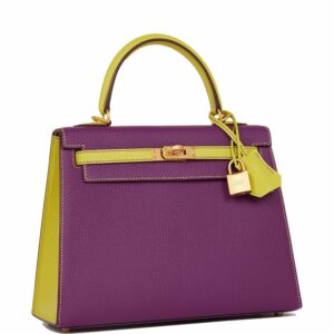 Hermes Kelly 25 Sellier Anemone and Lime Chevre Brushed Gold Hardware