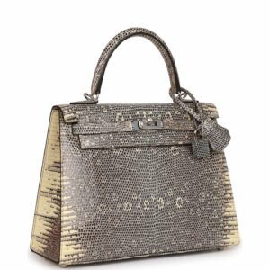 Hermes Kelly 25 Sellier Ombre Veranus Salvator Lizard Palladium Hardware