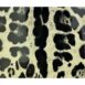 Dolce & Gabbana iPad Mini Case Leopard Print