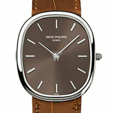 Patek Philippe Golden Ellipse Brown Dial Leather 31Mm Mens Watch 3738/100G-012