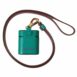 Dolce & Gabbana Airpods Pro Case Green Leather